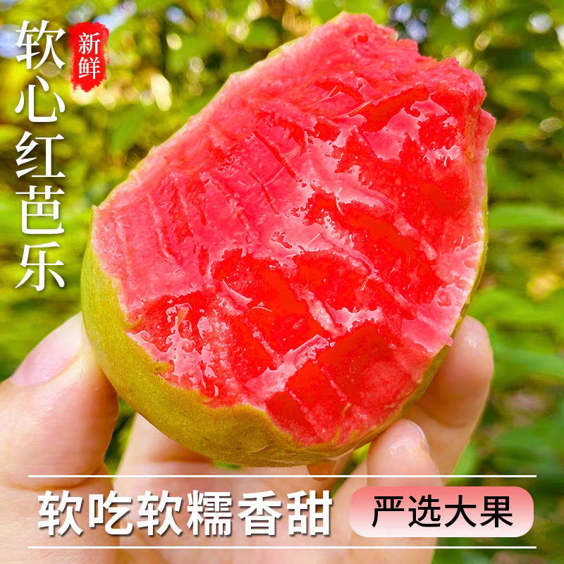 【推荐】红心番石榴/广东广西芭乐/廉江番石榴/红心芭乐