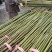 菜架竹竿