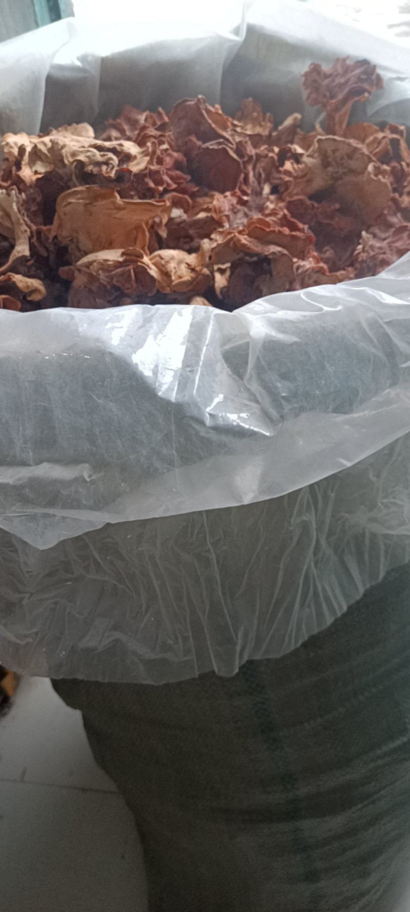 榆耳基地榆耳足干优质榆耳产地一手货源批发零售榆耳价格不贵