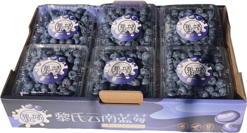 云南蓝莓F6L11大量上市欢迎砸单零售批发单支持一件代发