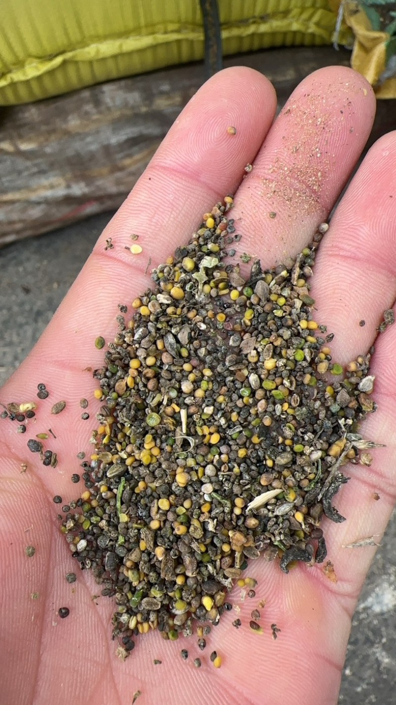 菜籽下脚料河北张家口万全欢迎采购欢迎订购
