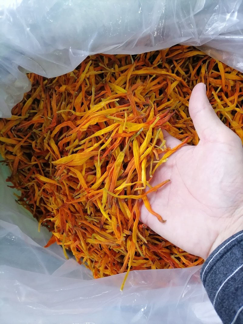 黄花菜，台湾黄花菜，台湾菜，没有开朵