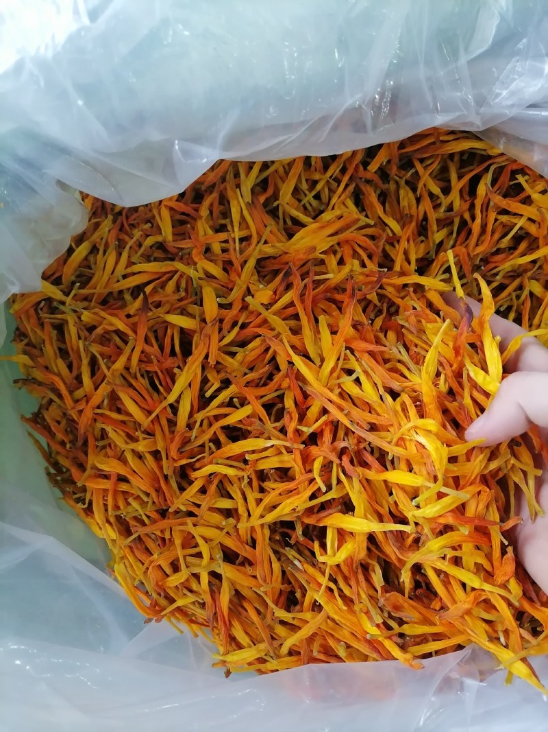 黄花菜，台湾黄花菜，台湾菜，没有开朵