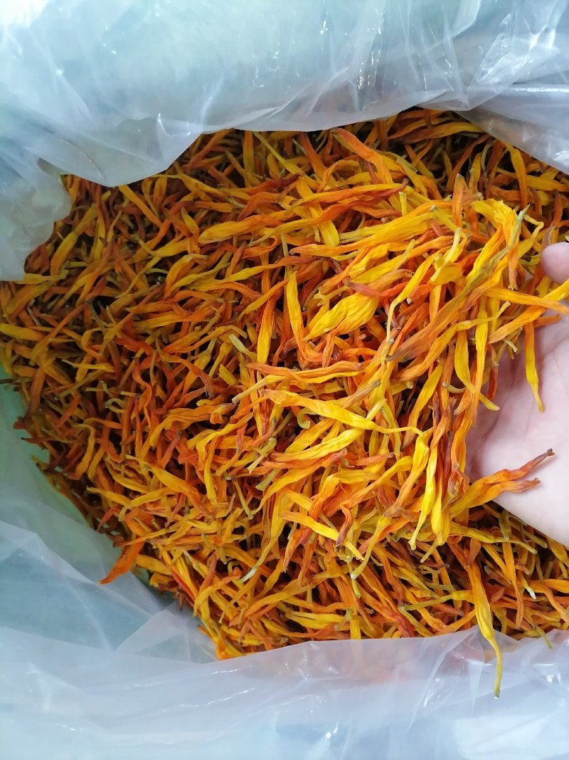 黄花菜，台湾黄花菜，台湾菜，没有开朵