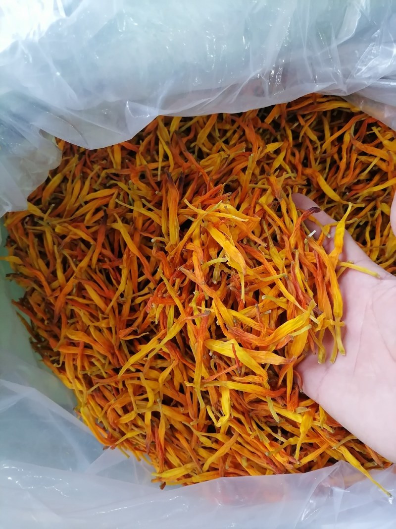 黄花菜，台湾黄花菜，台湾菜，没有开朵