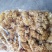 绣球菌干货，新品干货绣球菌