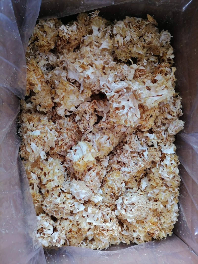 绣球菌干货，新品干货绣球菌