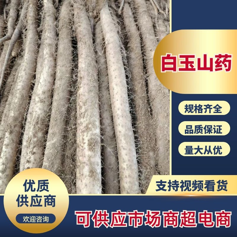 山西白玉山药，保质保量，全国代发，一手货源，欢迎咨询