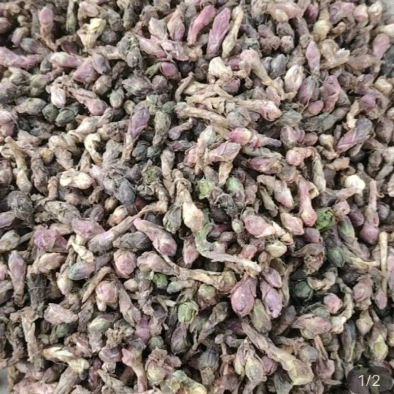 款冬花新货上市甘肃产地直供可视频看货量大重优。