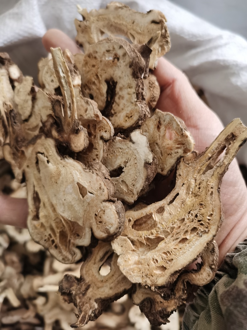 白术新货无硫颜色好气味浓批发零售各种规格