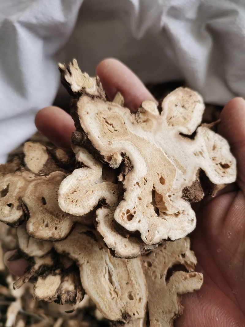 白术新货无硫颜色好气味浓批发零售各种规格