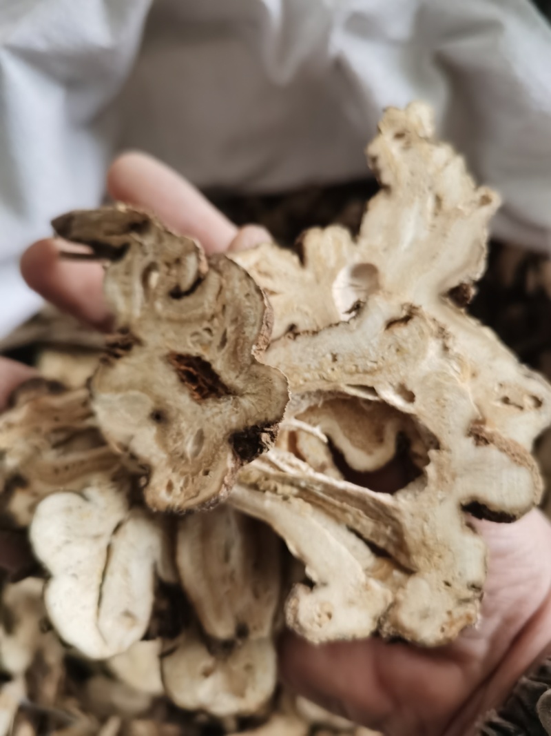 白术新货无硫颜色好气味浓批发零售各种规格