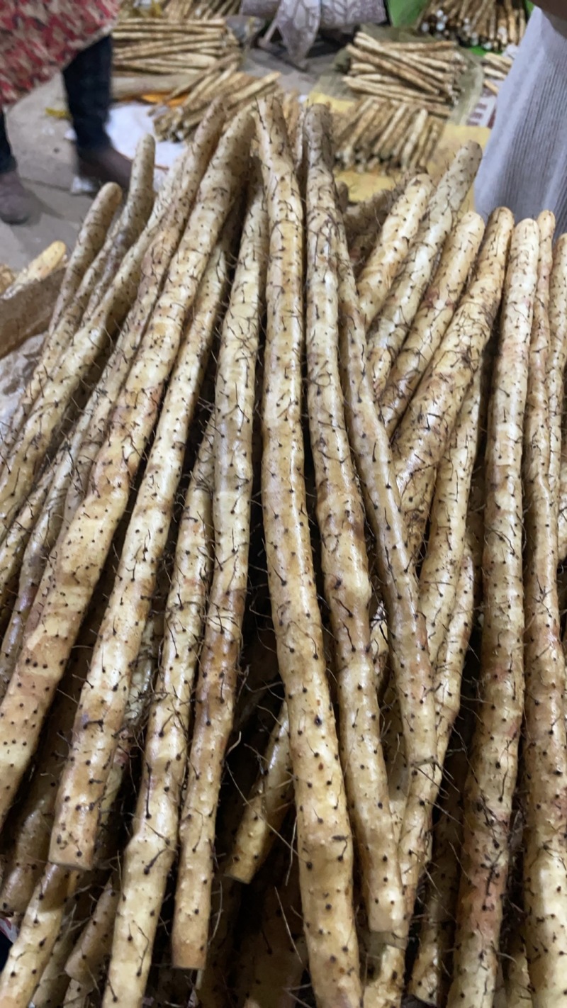 精品小白嘴白山药水洗网袋货箱货产地直发按需包装量大优惠