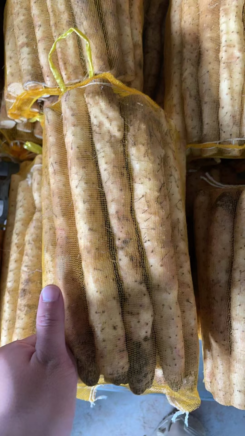精品小白嘴白山药水洗网袋货箱货产地直发按需包装量大优惠