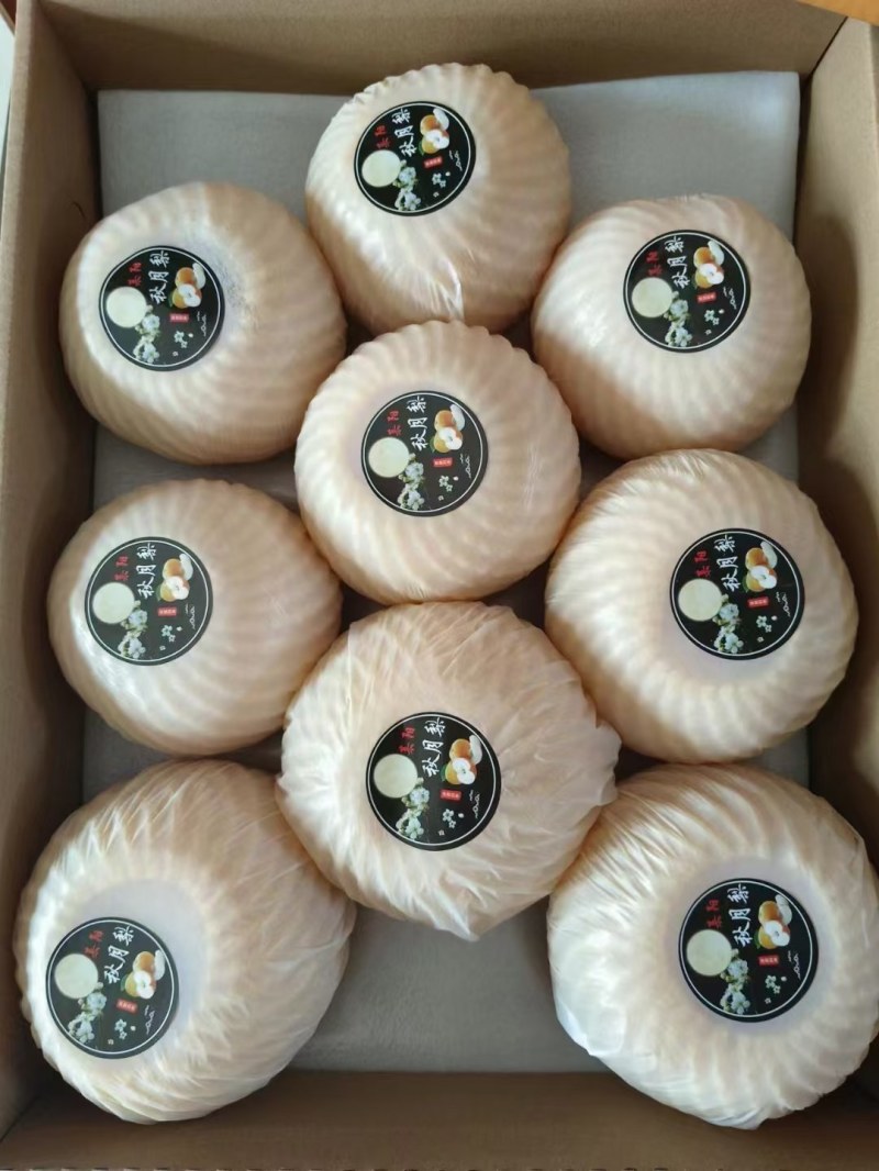正宗秋月梨，香甜可口，产地直发，货源充足，欢迎来电咨询