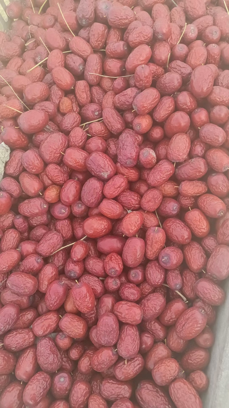 新疆灰枣和田吊干灰枣核小皮薄肉厚农户直发不加工不打蜡包邮