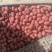 新疆灰枣和田吊干灰枣核小皮薄肉厚农户直发不加工不打蜡包邮