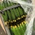 热卖安阳黄瓜大量上市，青瓜顶花，商超品质对接电商批发档口