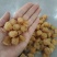 桂圆肉桂圆干龙眼肉龙眼干8A+精品大货批发