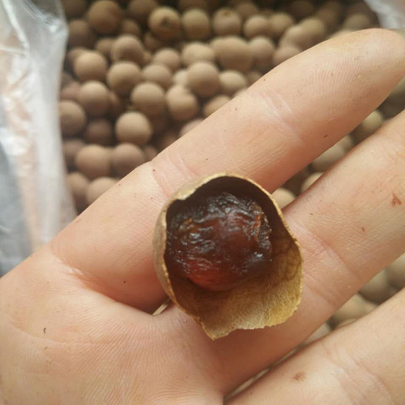 莆田桂圆干批发核小肉多好吃营养新货精品