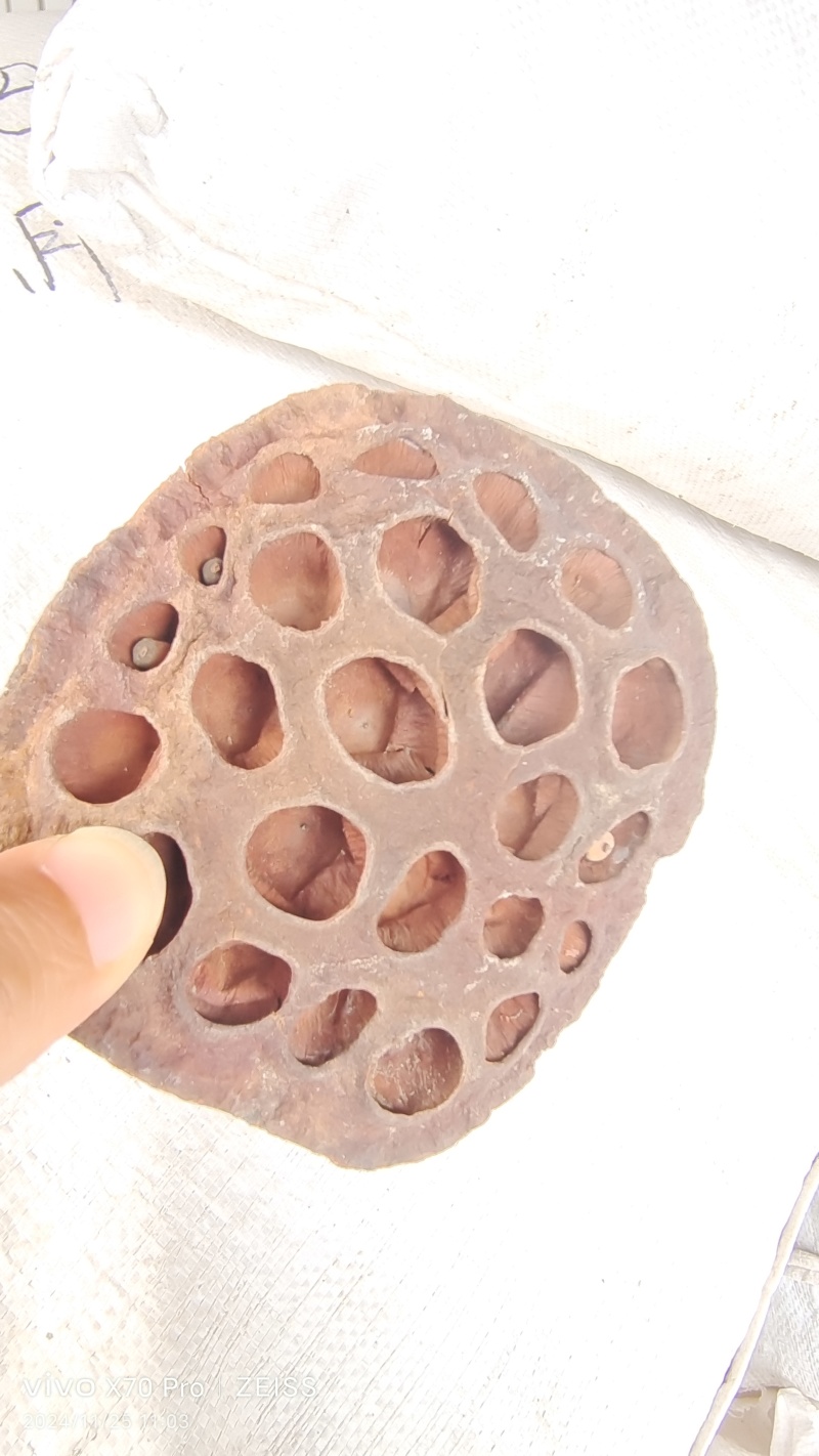 莲房莲蓬干货中药材量大优惠