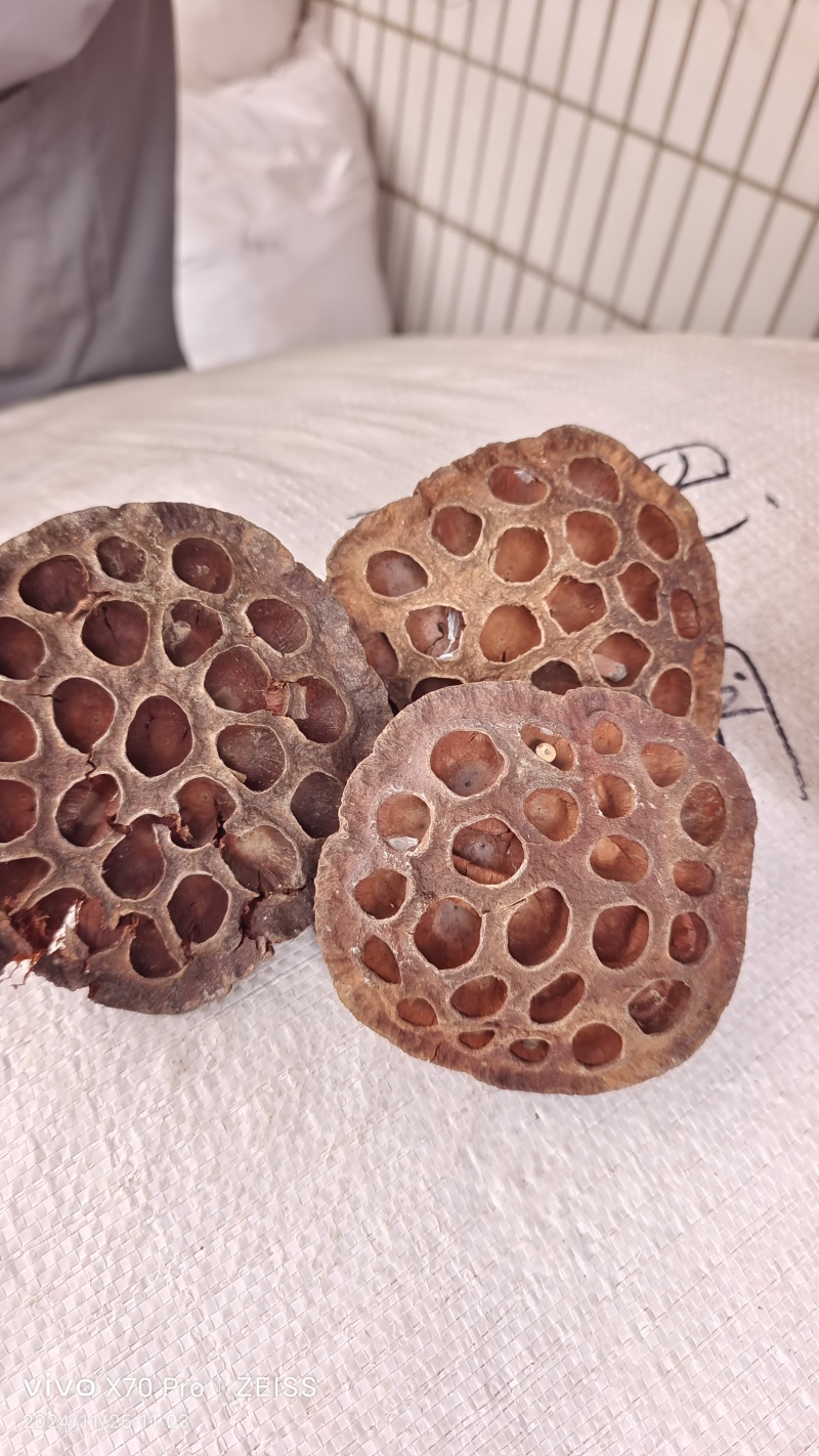 莲房莲蓬干货中药材量大优惠