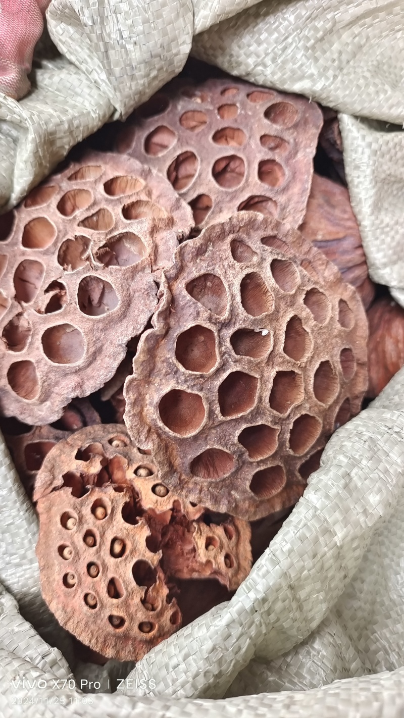 莲房莲蓬干货中药材量大优惠