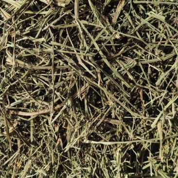 巴夏嘎干货中药材冷背中药材