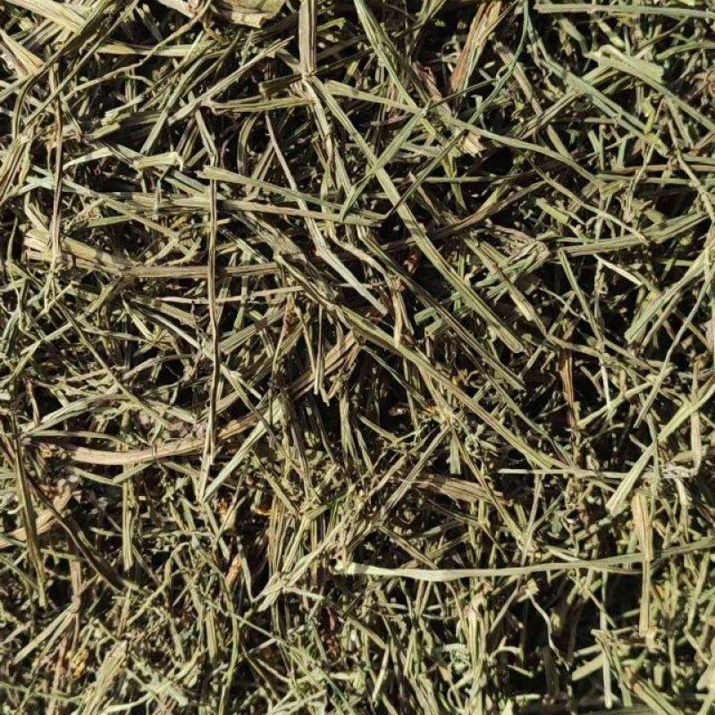 巴夏嘎干货中药材冷背中药材