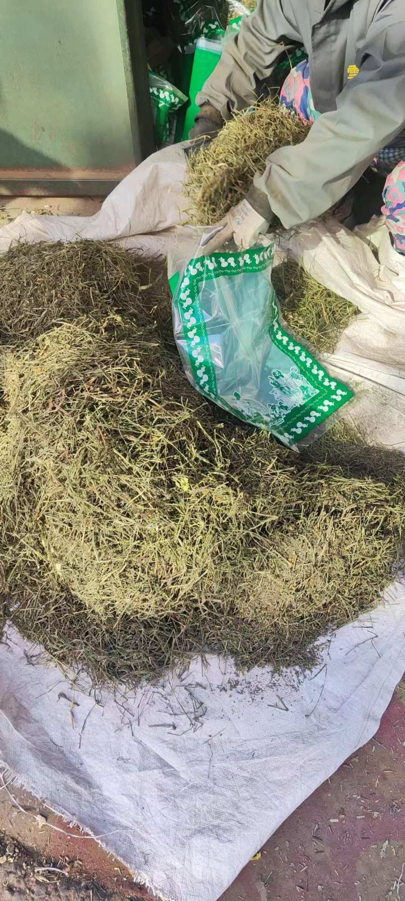 巴夏嘎干货中药材冷背中药材