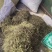 巴夏嘎干货中药材冷背中药材