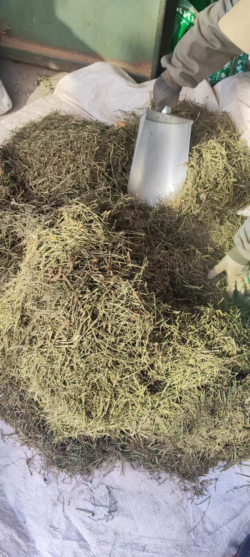 巴夏嘎干货中药材冷背中药材