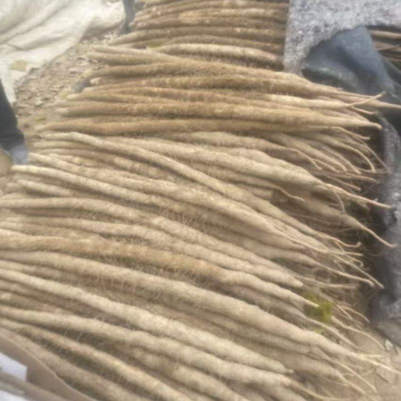 山药河南山药双棒山药一手货源对接商超档口欢迎下单