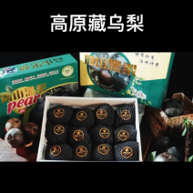 西藏乌梨