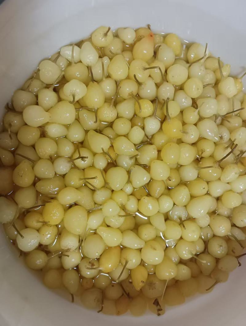 七彩椒一手货源品质保证，对接商超档口健康绿色食品