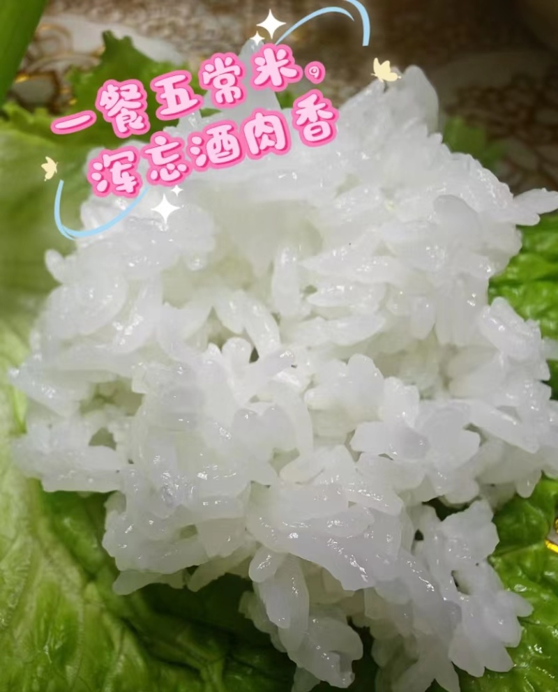 五常稻花香2号原粮