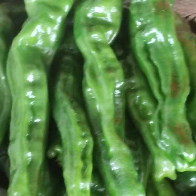 小皱皮辣椒