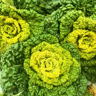 黄心菜
