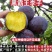 黑霸王李子树苗，基地直发假一赔十，保证成活结果，签约合同
