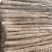 【山药】精选山西白玉山药大量供应品质保证量大优惠