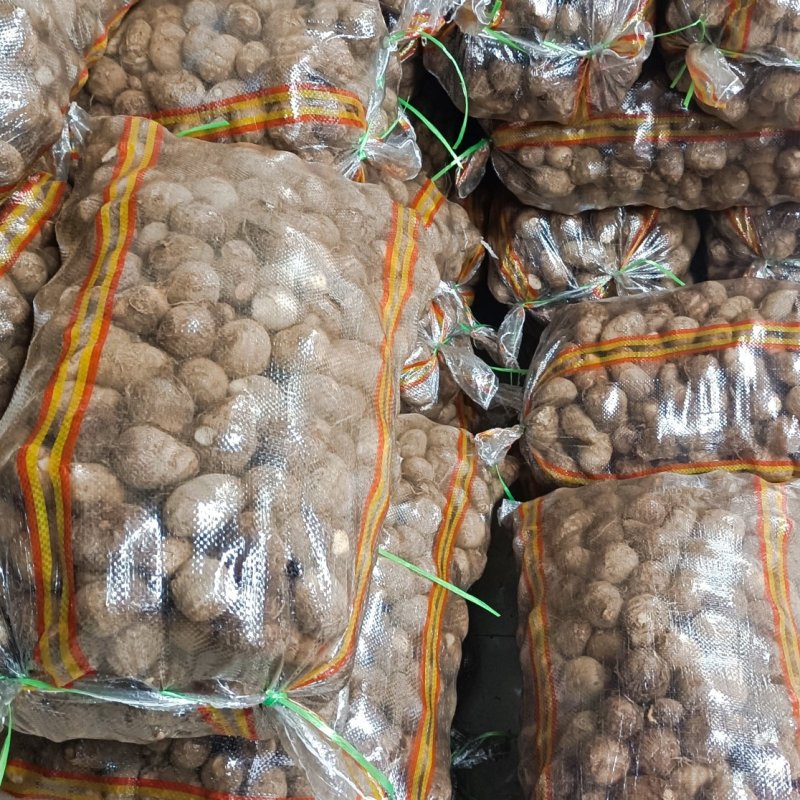 山东优质豆包芋头，产地大量现货，价格低质量好，一亩田联系