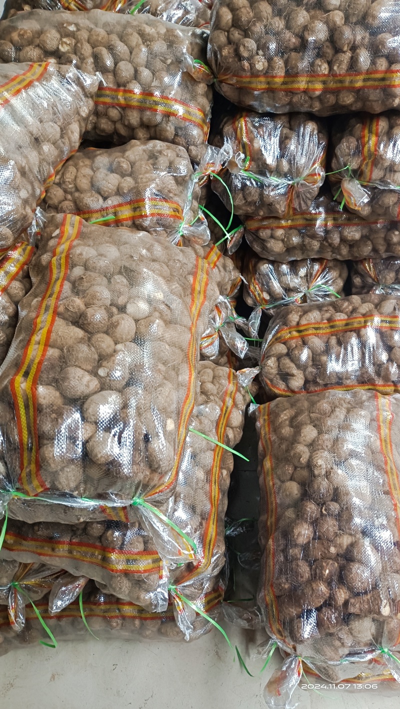 山东优质豆包芋头，产地大量现货，价格低质量好，一亩田联系