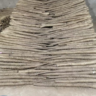 【热卖】优质白玉山药供应市场商超电商品质保证量大价优