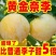黄金奈李子树苗，保证品种假一赔十，不开花，不成活全额退款