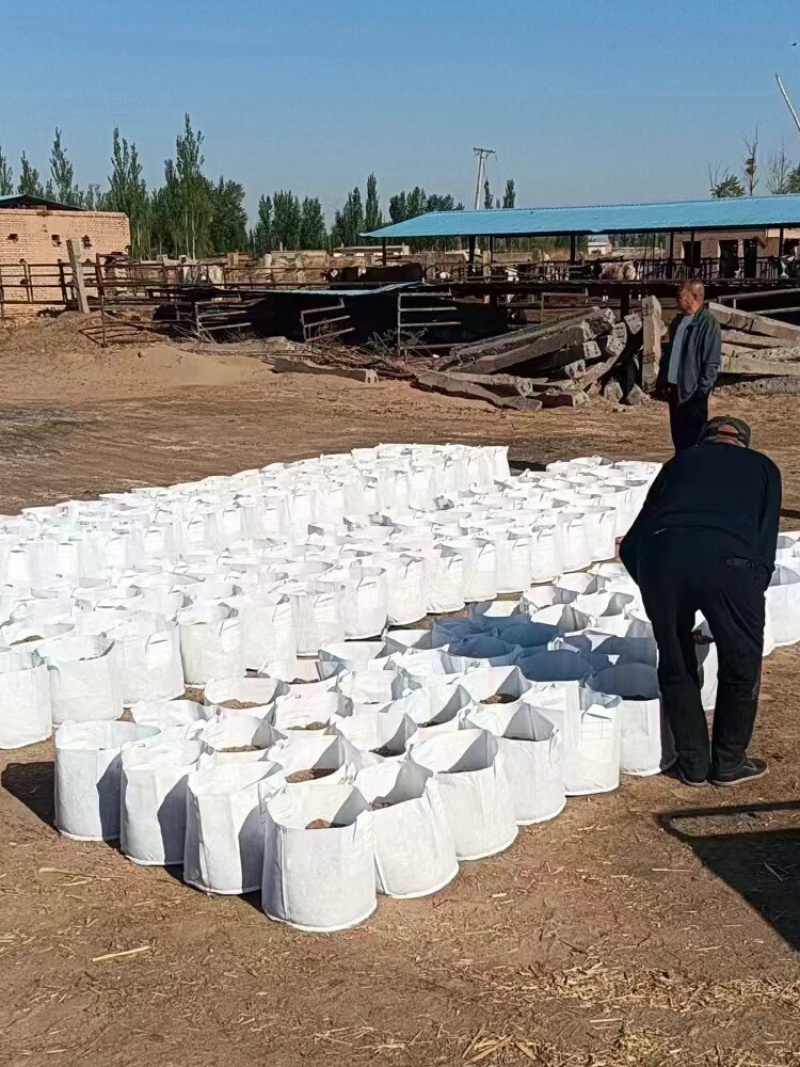 美值袋植树袋加厚植树袋无纺布加厚育苗袋支持定做
