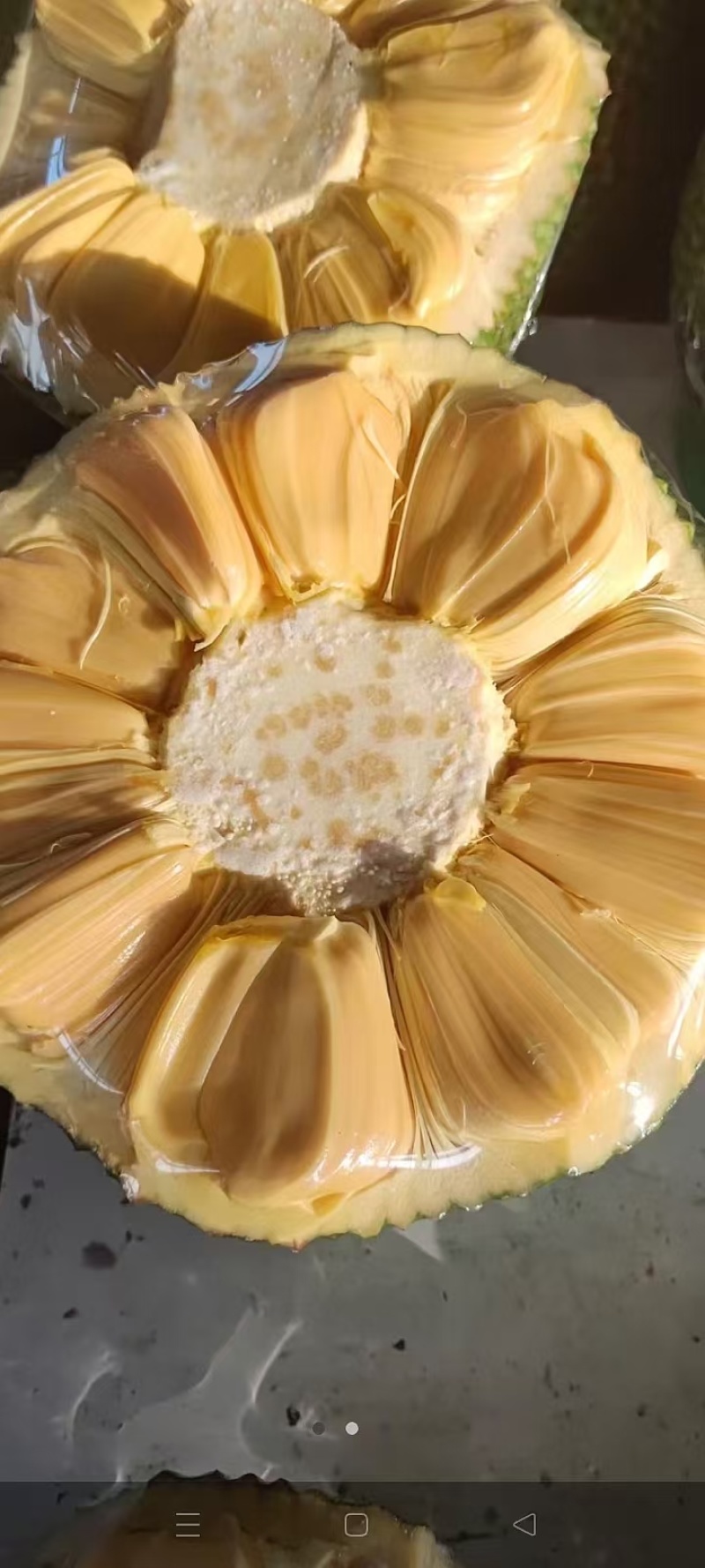 菠萝蜜越南红和印尼红