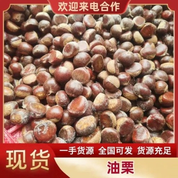 山东油栗宋家早（80粒中粒）香甜软糯坏果包赔