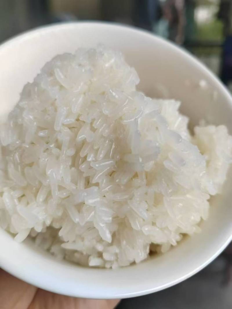 【推荐】新疆大米/羊脂籽米/对接商超批发市场/量大议价