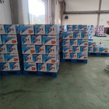 【优选好果】湖南纽荷尔脐橙新鲜上市，基地现货直发全国