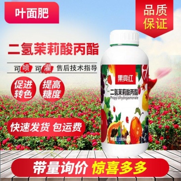 果实转色增甜叶面肥有机水溶肥料二氢茉莉酸丙酯柑橘苹果玫瑰